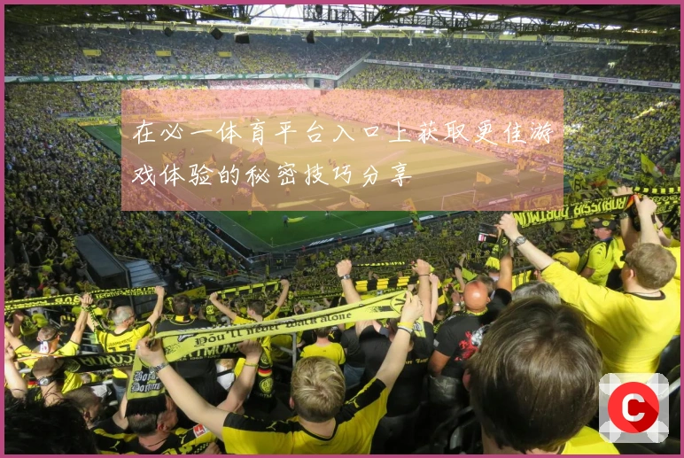在必一体育平台入口上获取更佳游戏体验的秘密技巧分享